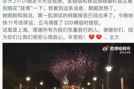 上海迪士尼，烟花照常升起图片