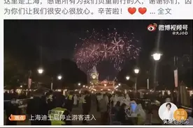 上海迪士尼，烟花照常升起图片