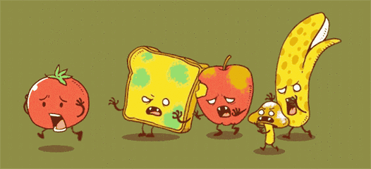 花胶蠔干瑶柱煲粥 2025年花胶瑶柱羹