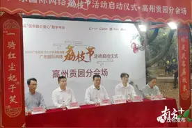8天3次直播带货！高州市市长连线广东荔枝节：当年杨贵妃吃的荔枝来自我这图片