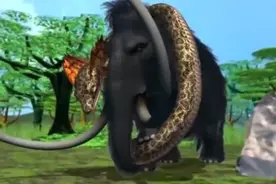 世界上最大的蛇是谁？到底能有多长？其寿命是多少？图片