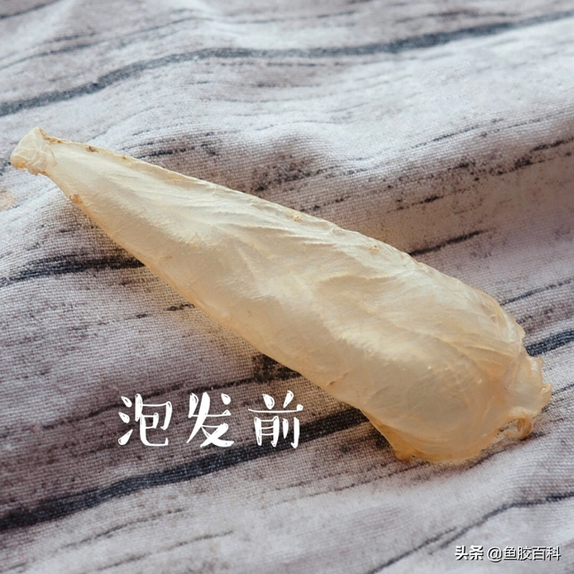 印尼深海野生花胶 2026年印尼的花胶怎么样