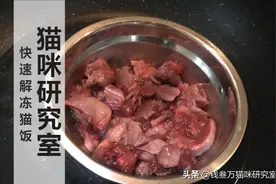快速解冻猫饭的4种办法，和最正确的办法图片