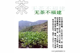 无茶不福建图片