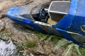 秀操作的黄先生图片
