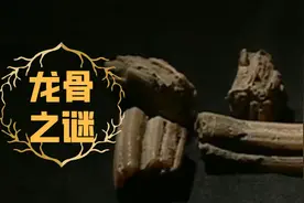 龙影遗骨之谜：老人秘藏龙骨七十年，一张旧照片牵出真龙现身奇闻图片