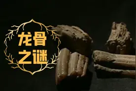龙影遗骨之谜：老人秘藏龙骨七十年，一张旧照片牵出真龙现身奇闻图片