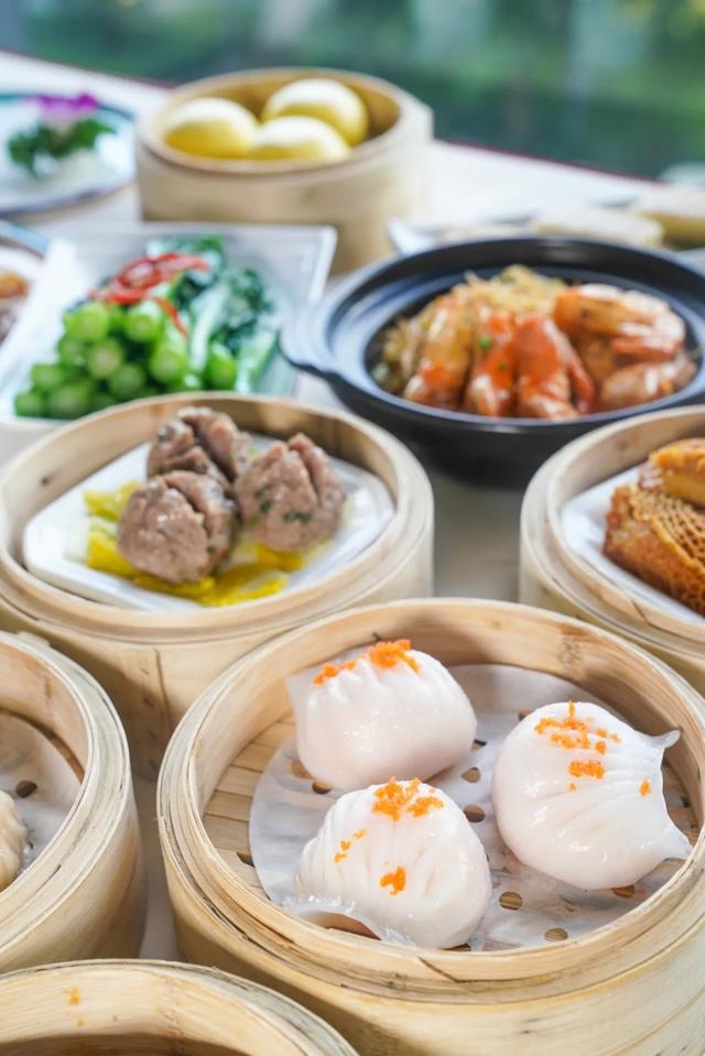 花胶与牛展能同炖吗 2026年花胶可以和牛骨一起煲汤吗