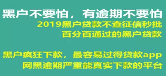 网贷逾期十三个个口子，地下组织是干什么的 配图03