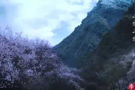 看了100多个李子柒的视频，我总结了7个拍视频的技巧图片