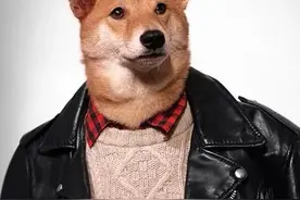 我家的狗不咬人图片