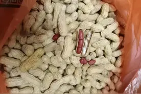 每次回娘家就像土匪一样往车上搬各种吃的图片