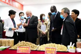 国际花生产业大会上正阳电商大集引关注图片