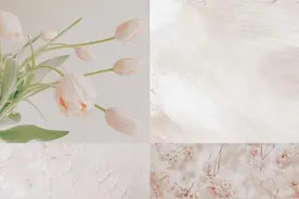 照片排版不高级？看看这4款宝藏排版App吧图片