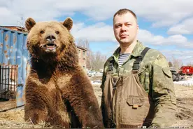 俄罗斯飞行员5年前捡了一只小熊，如今小熊长大了，只认人类爸爸图片