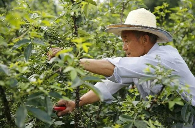 厉害！全国仅25件，巴中就占两个......