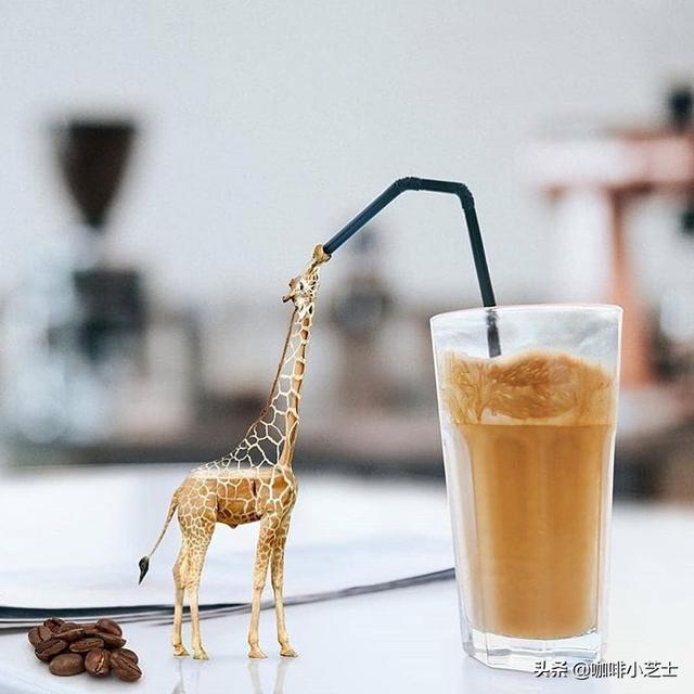 咖啡趣闻：没错，我们都是愿意用生命换咖啡的“奇葩大佬儿”