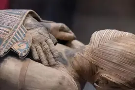 中世纪欧洲宴会，主人命人将一具木乃伊切块磨粉，加到宾客红酒里图片