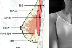 女生怎么锻炼胸部，才能使胸部看起来更加饱满图片