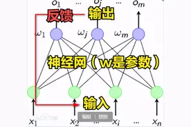 为什么世界上没有两个人是完全相同的？图片