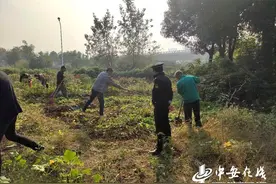 随意开荒种地不可取 合肥这几处“开心农场”被铲了图片