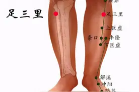 四大强壮要穴之足三里图片