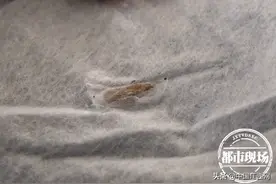 江西宝妈唯品会上网购“爽然牌”尿不湿 惊现活体蛆虫？图片