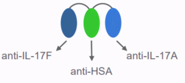 单抗看靶点，双抗看平台——安进、赛诺菲、罗氏双抗平台解析