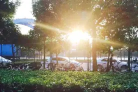 新一年的五毒月九毒日，又将到来！男女应该知道的禁忌，一次说清图片