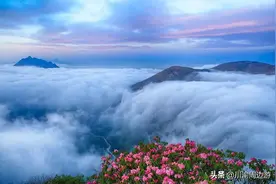 四川超冷门的名山，享有蜀中三绝之美誉，更有万亩花海免费开放图片