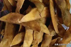 秋季毛豆正大量上市，有条件的多买点，晒干囤起来，冬天吃特别香图片