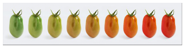 那些你不知道的事——含氨基酸肥料在转色上的应用