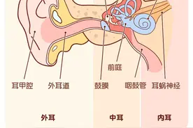 神奇掏耳方法，耳垢，碾压出酥脆感图片