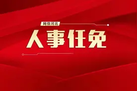 王普清任河北省交通运输厅党组书记图片