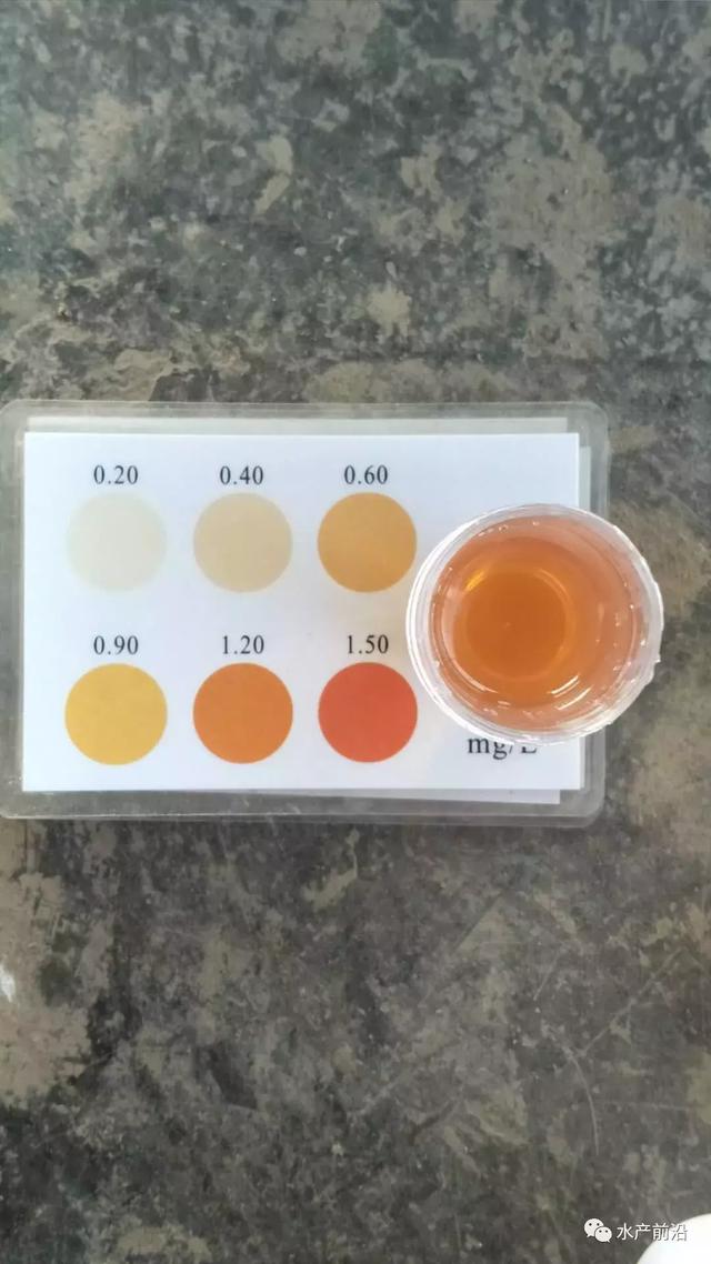 氨氮、亚硝酸盐超标将给虾蟹苗带来这些危害！虾蟹苗中毒怎么办？