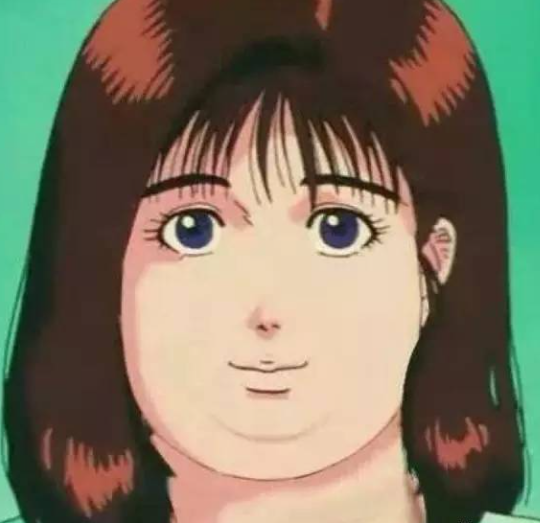 英国短毛猫丨蓝猫