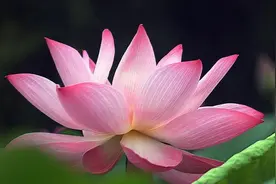 中国式父母，看哭多少人。年少不知父母苦，懂时已是泪满巾图片