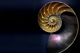 数学的推理和命题图片