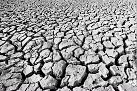 民国十八年年馑纪事•序二图片