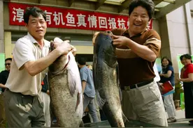 一网出水12万斤，一条值300元，千岛湖“洗澡鱼”暗藏玄机？图片