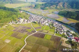 江西黎川丁路村：栽下“摇钱树” 办起“绿银行”图片