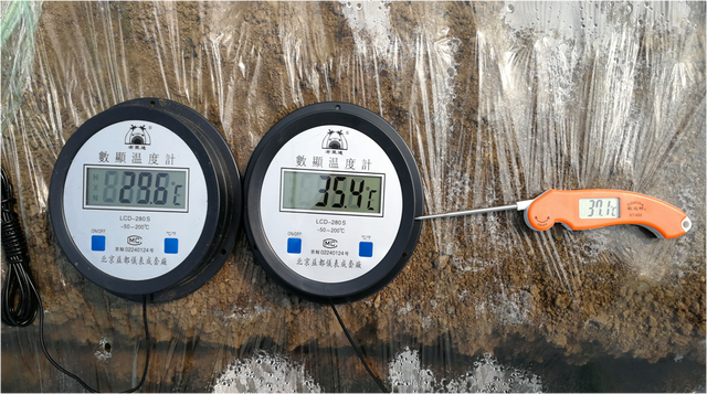 最全的大姜控温管理技术要点在这里，涨知识了！赶快转发收藏！