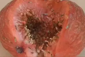 6种水果有“寄生虫”，还能给孩子吃吗？医生建议：这些要少吃图片