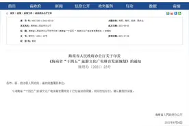 海南体育“十四五”规划出台！疯狂体育(00082.HK)迎重磅政策利好图片