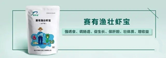 「赛有渔壮虾宝」调肠道 状体质 增收益