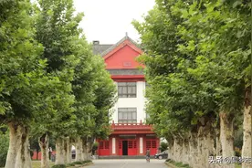 四川大学这14个拖后腿的专业，还真不好就业！报考请慎重图片