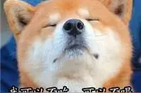 打算考教师资格证？考什么？难考吗？这一篇为你量身定做图片