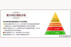 AOC、DOC、VDP我认识，然而“VCE”是什么？图片
