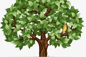 小学生英语阅读，有这四本就够了图片