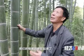空气也能抵押贷款？真的！六旬老人从银行贷了37万余元：“这辈子真是头一次听说”图片